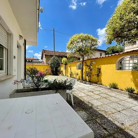 Petit Maison * Τρέβι