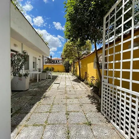 Petit Maison