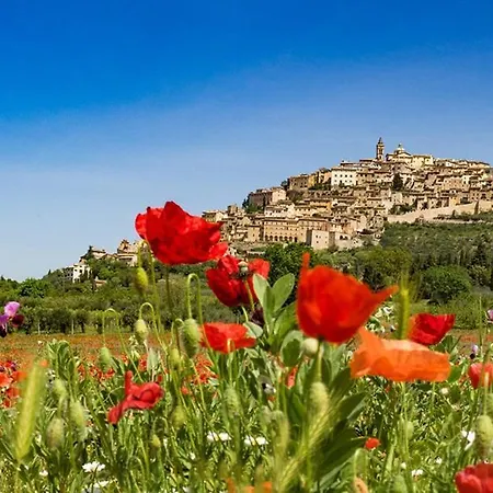 Appartamento Petit Maison Trevi